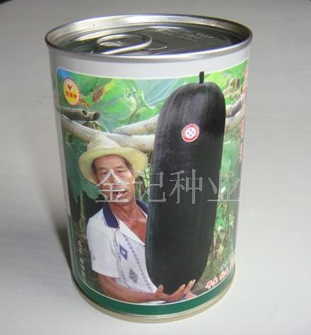 冬瓜种子黑又大杂交黑皮冬瓜种子F-007